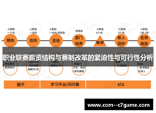 职业联赛薪资结构与赛制改革的紧迫性与可行性分析